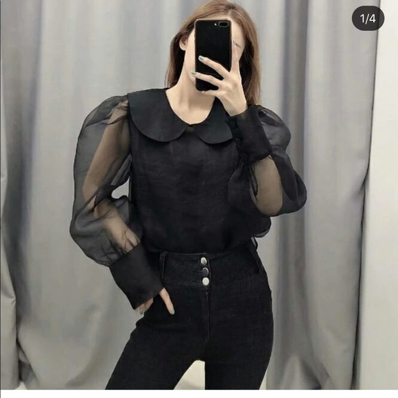 Zara organza blouse bloggers favorite - Picture 3 of 9